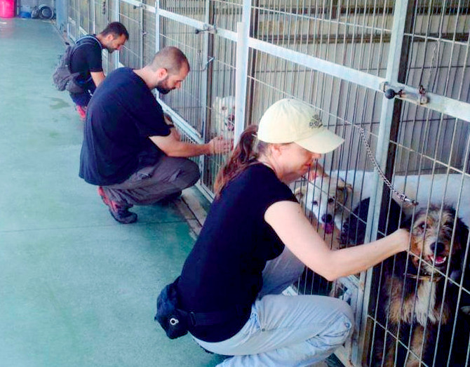 Voluntarios en la protectora de Barcelona