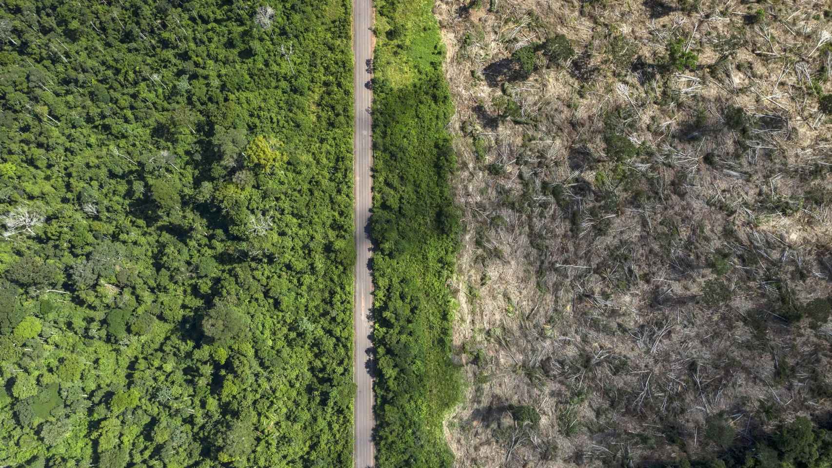 La destrucción del medioambiente, plasmada con la deforestación del Amazonas / EP