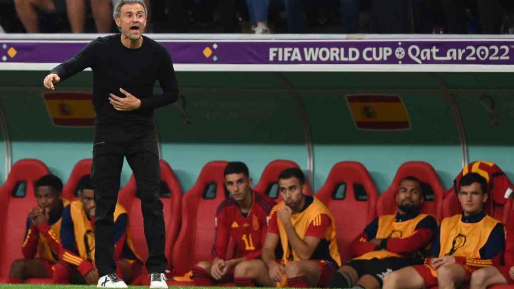 Luis Enrique, en el partido entre España y Alemania / EFE