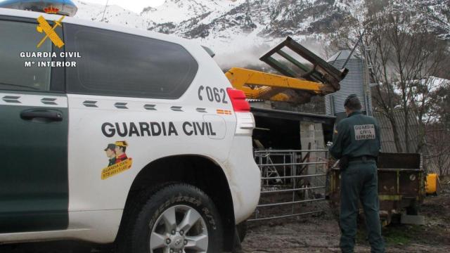 Agentes del Seprona de la Guardia Civil  / GUARDIA CIVIL