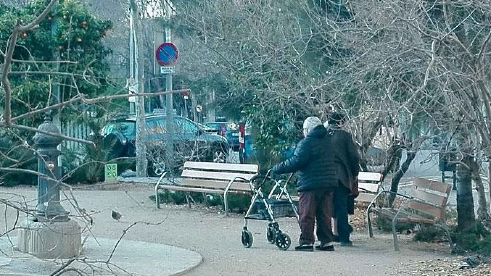 Dos catalanes de avanzada edad mayores de 65 años pasean por un parque de Barcelona / CG