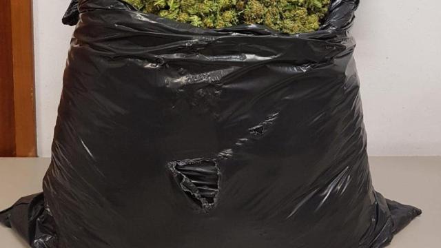 Bolsa de basura con 15 kilos de marihuana / MOSSOS