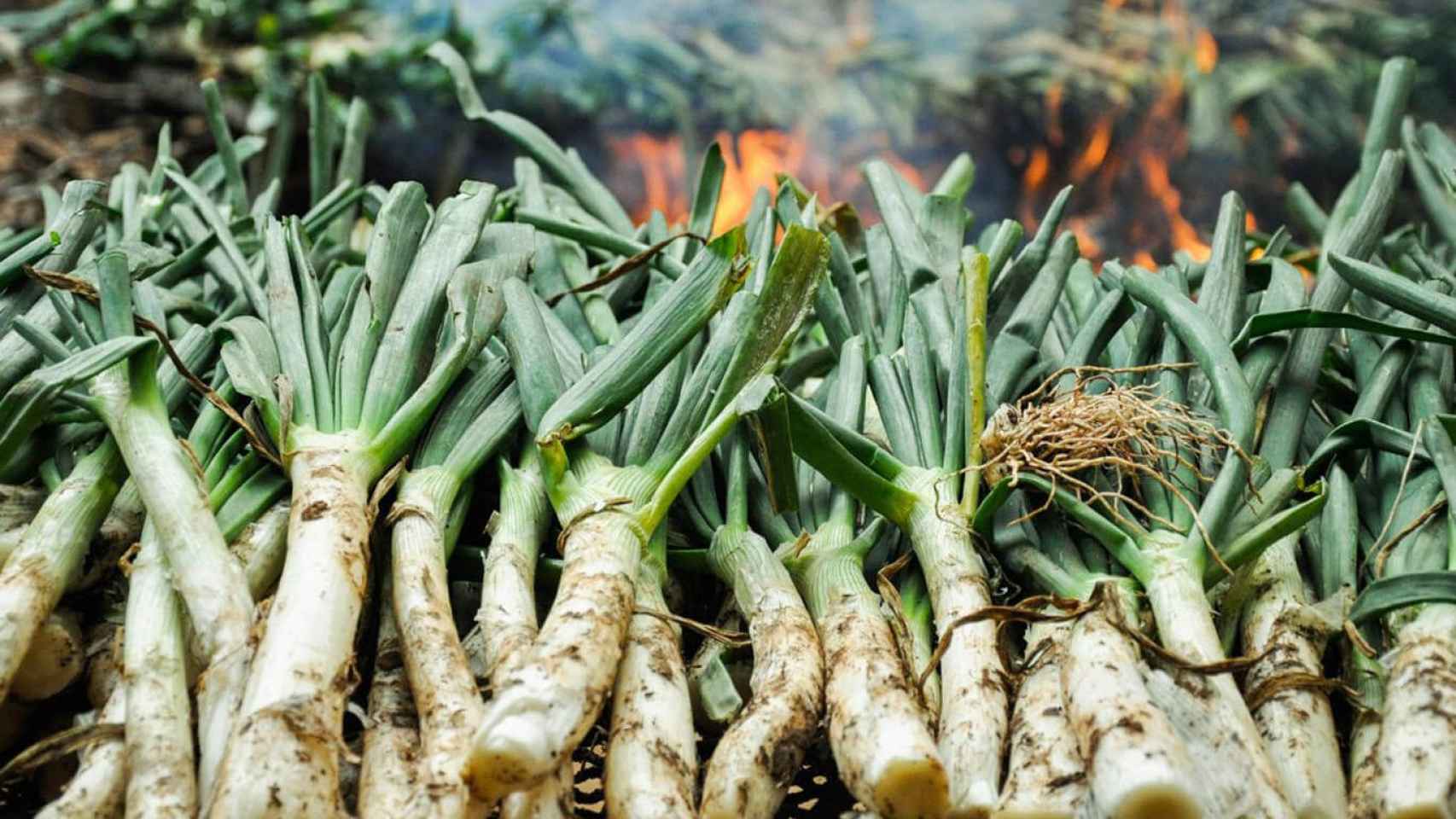 calçots-donde-comer