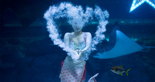 Una buzo de Corea del Sur vestida con un traje de sirena se presenta en un tanque antes de la fiesta nacional 'Chuseok', en el Acuario Coex en Seúl, Corea del Sur - EFE/ Jeon Heon-kyun