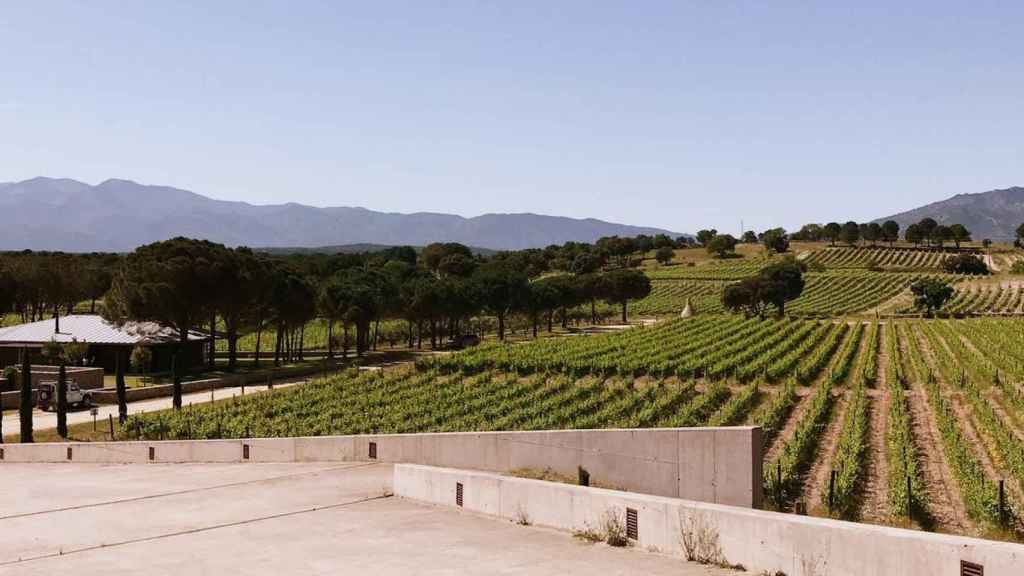 La bodega Terra Remota rodeada de un mar de viñedos en pleno Empordà / TERRA REMOTA