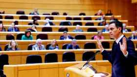 El presidente del Gobierno, Pedro Sánchez, en una comparecencia en el Senado / EFE