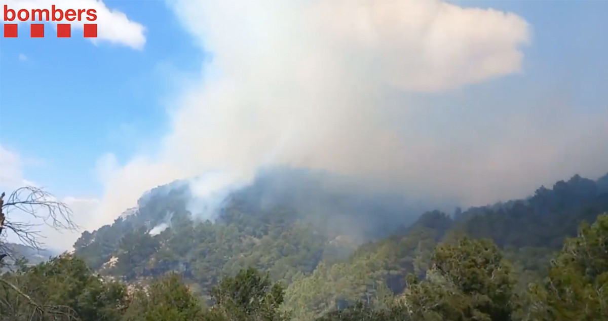 Incendio de Gandesa, que los bomberos han controlado este domingo / BOMBERS