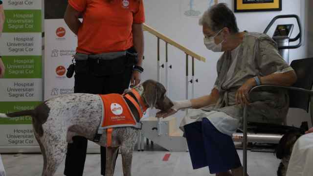 Una paciente del Hospital Universitario Sagrat Cor de Barcelona realiza terapia con perros durante su etapa de recuperación / FUNDACION AFFINITY