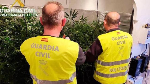 Dos agentes de la Guardia Civil en una intervención antidroga en Lleida / GC
