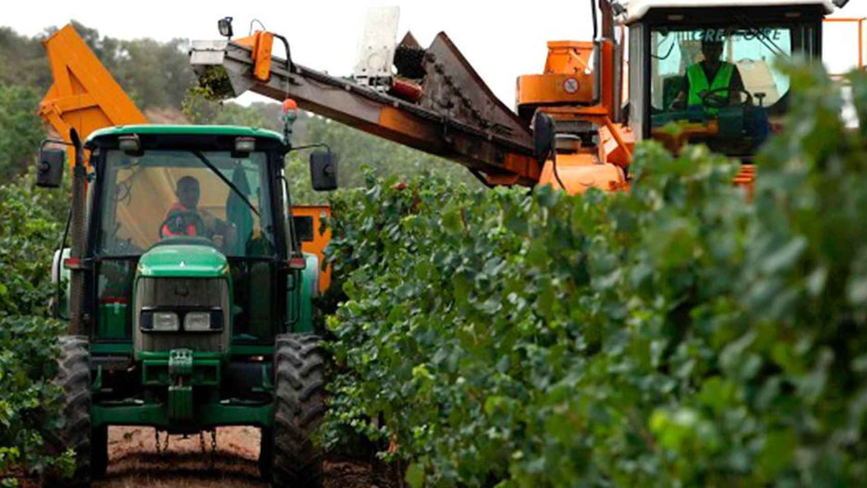 Agricultores en un campo del Penedès / EFE