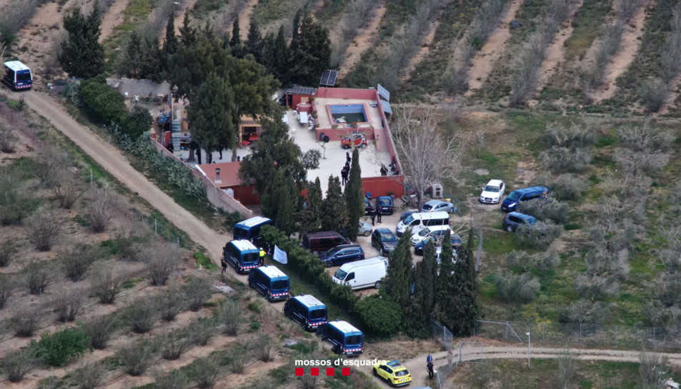 Los Mossos d'Esquadra intervienen en la finca en la que tenían lugar las peleas ilegales de gallos / MOSSOS