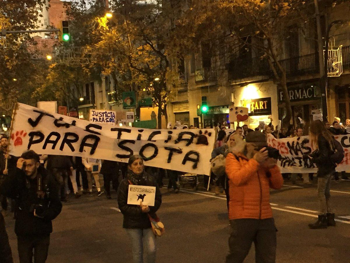 Manifestación por la perra 'Sota'