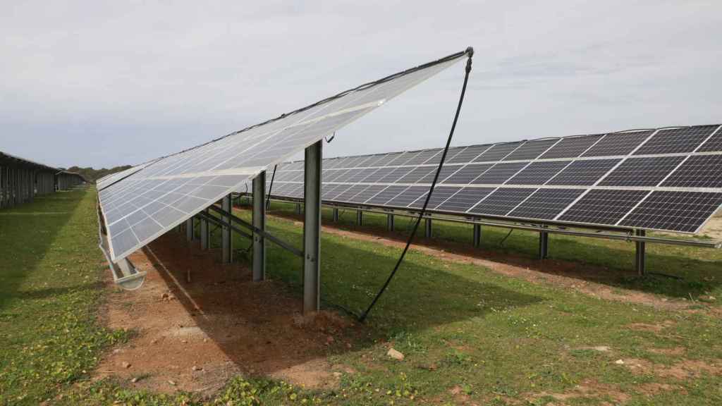 Parque agrovoltaico de Endesa en sa Caseta