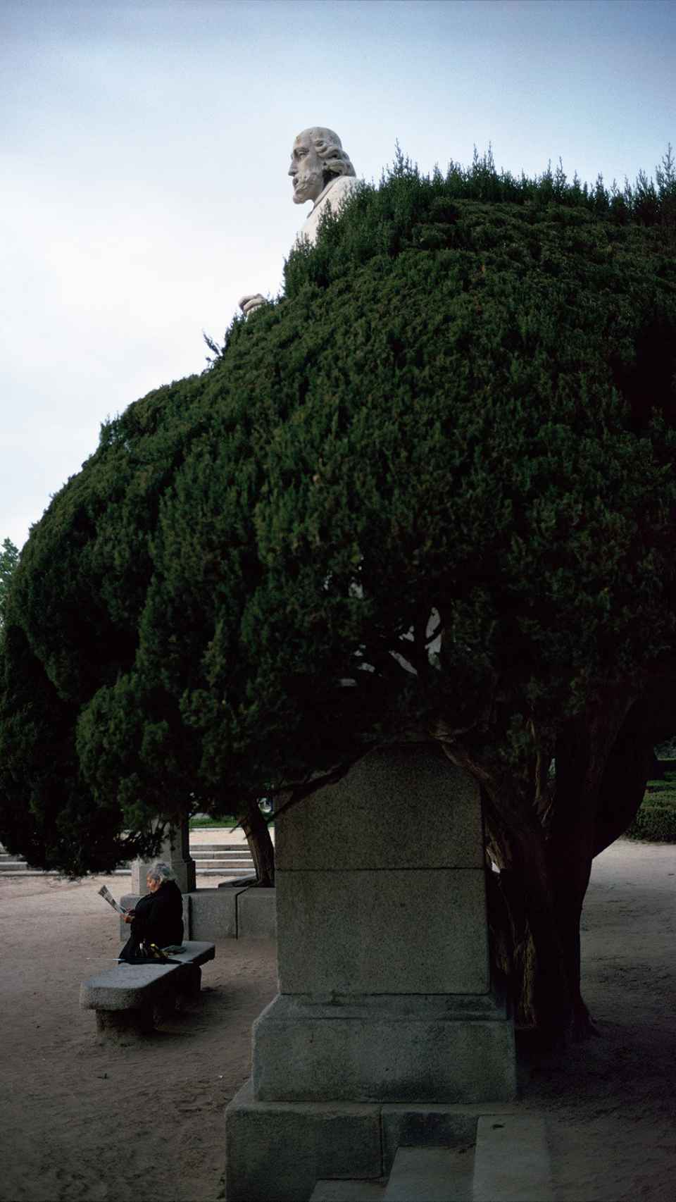 Un parque, visto por Joel Meyerowitz