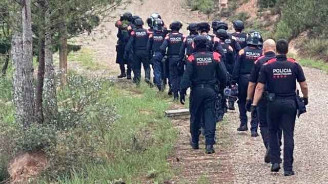Agentes de los Mossos d'Esquadra durante un operativo contra el tráfico de marihuana