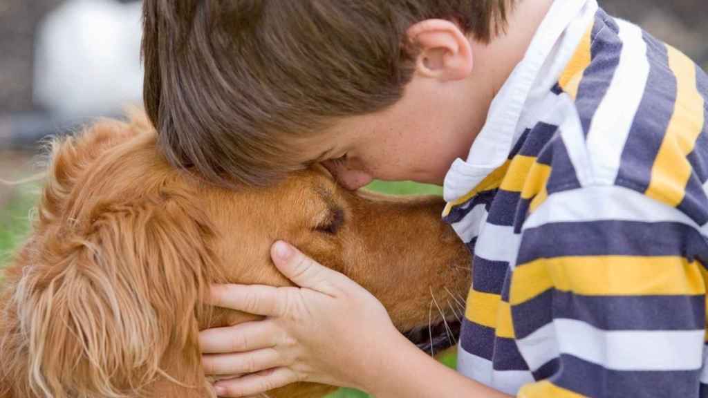 Un perro con un niño