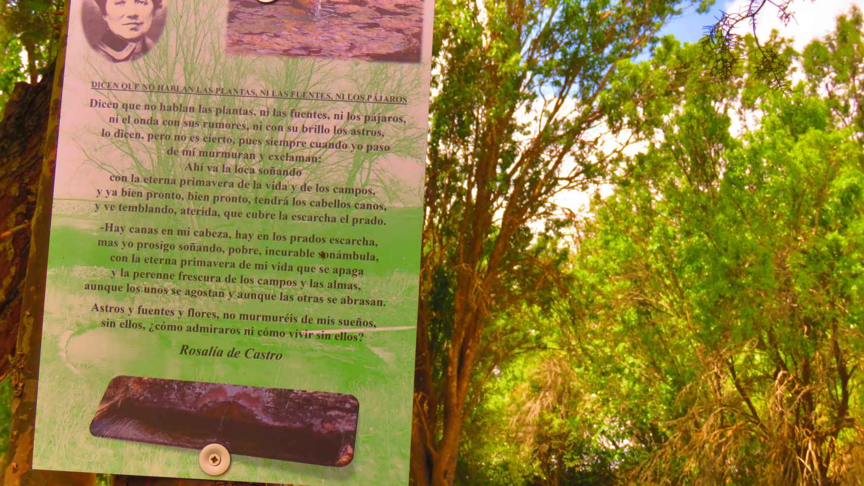 'El Huerto Poeta', en la localidad soriana de Quintanas Rubias de Arriba