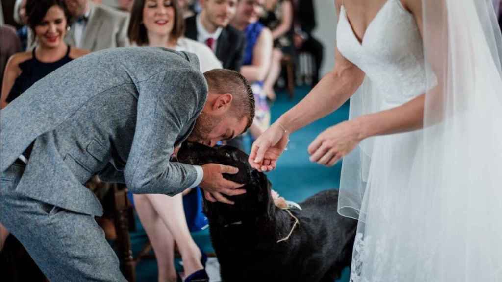 Las parejas con mascota defienden su presencia en bodas y celebraciones