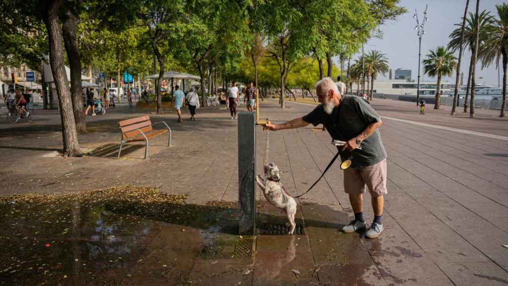 Un vecino refresca a su perro en la Barceloneta, en Barcelona