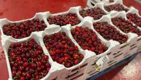 Cajas de cerezas