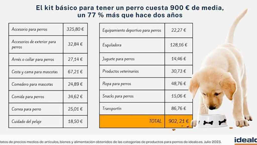 Gasto medio en el mantenimiento de un perro en España