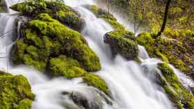 Una cascada espectacular de belleza eterna te espera en la Girona más exuberante