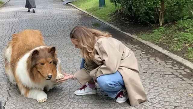 Youtuber japonés sale paseando disfrazando perros