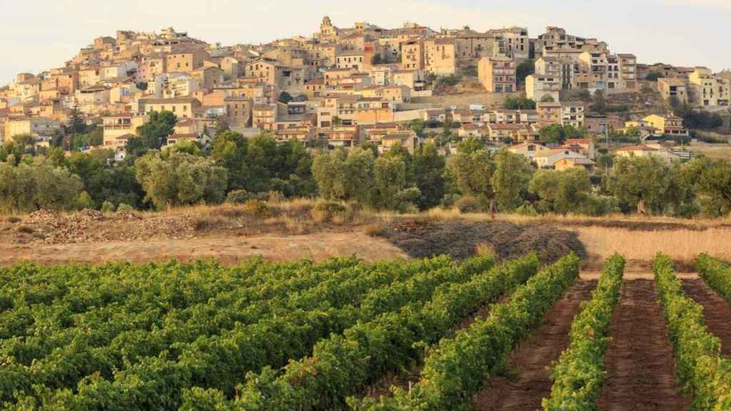 Horta de Sant Joan