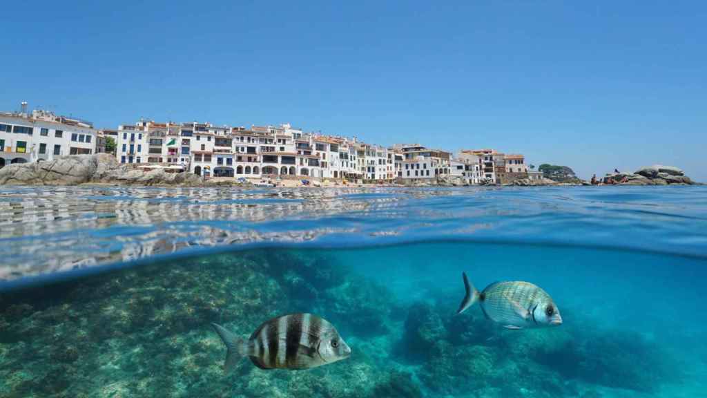 Calella de Palafrugell