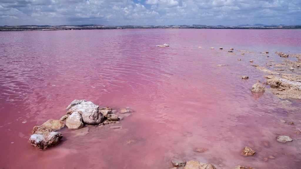 Laguna salada de Torrevieja