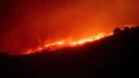 Incendio forestal que afecta a los municipios de Colera y Portbou (Girona), cerca de la frontera con Francia