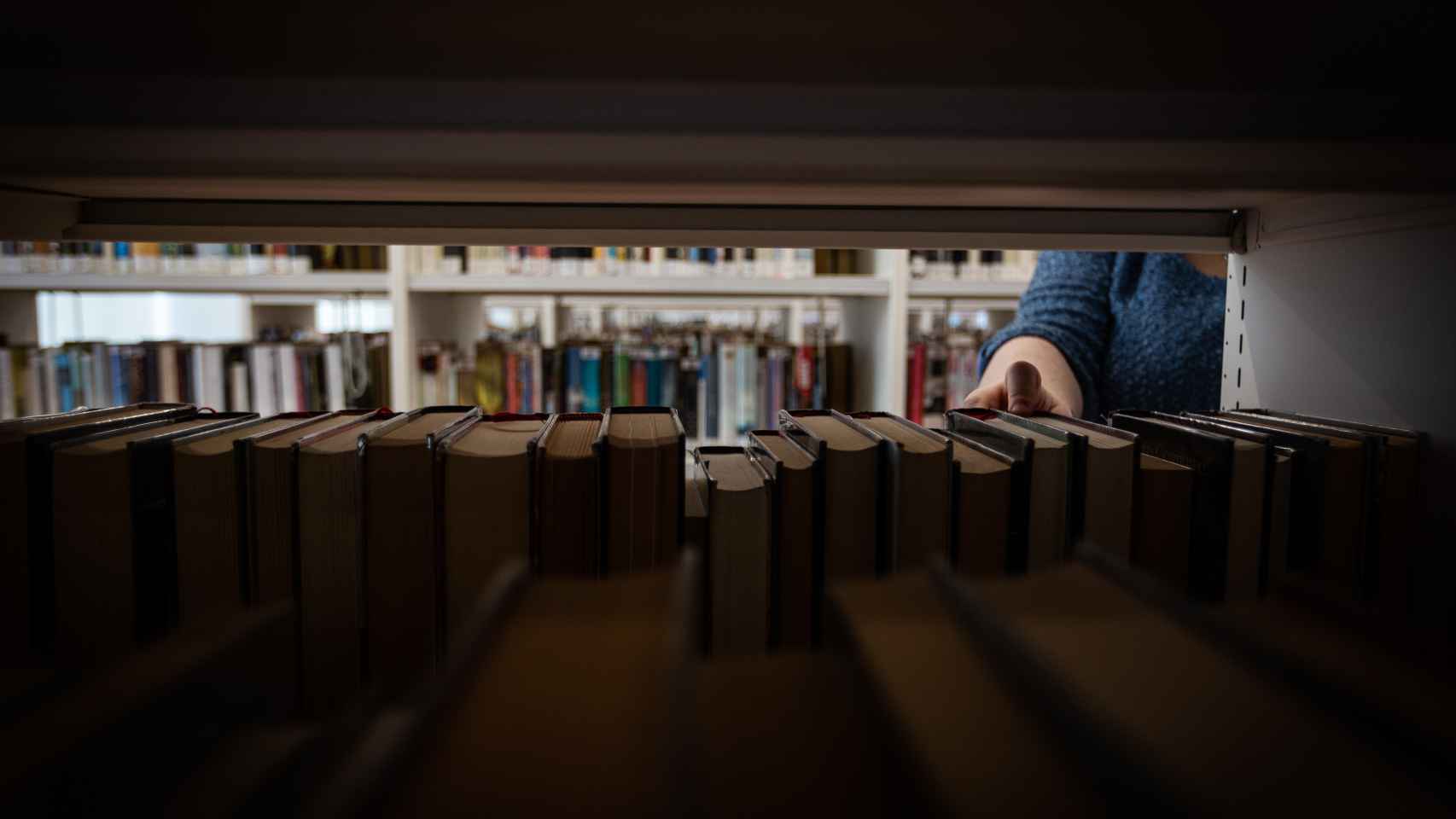 ElUna bibliotecaria coge un libro de una estantería