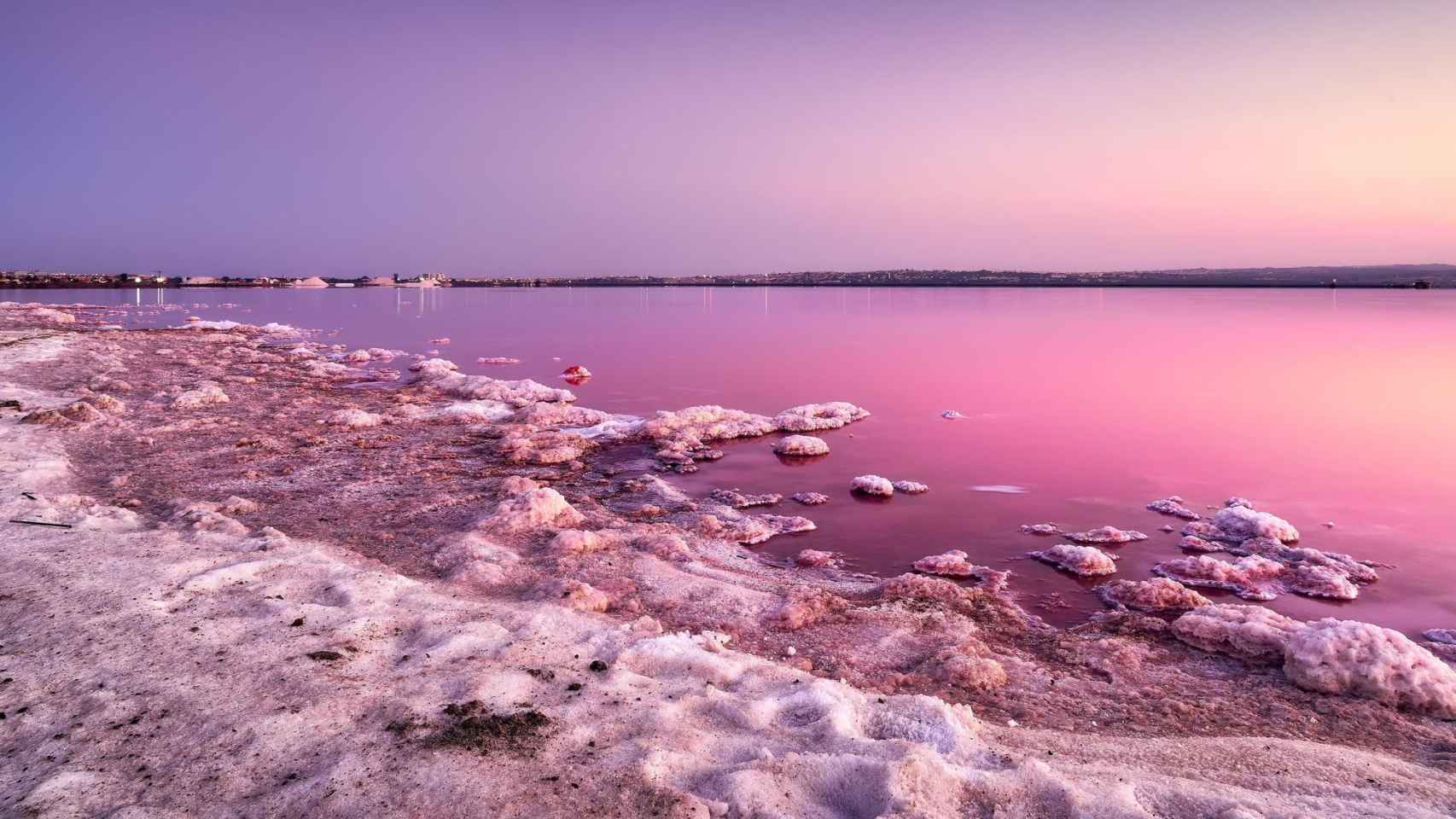 Laguna de Torrevieja