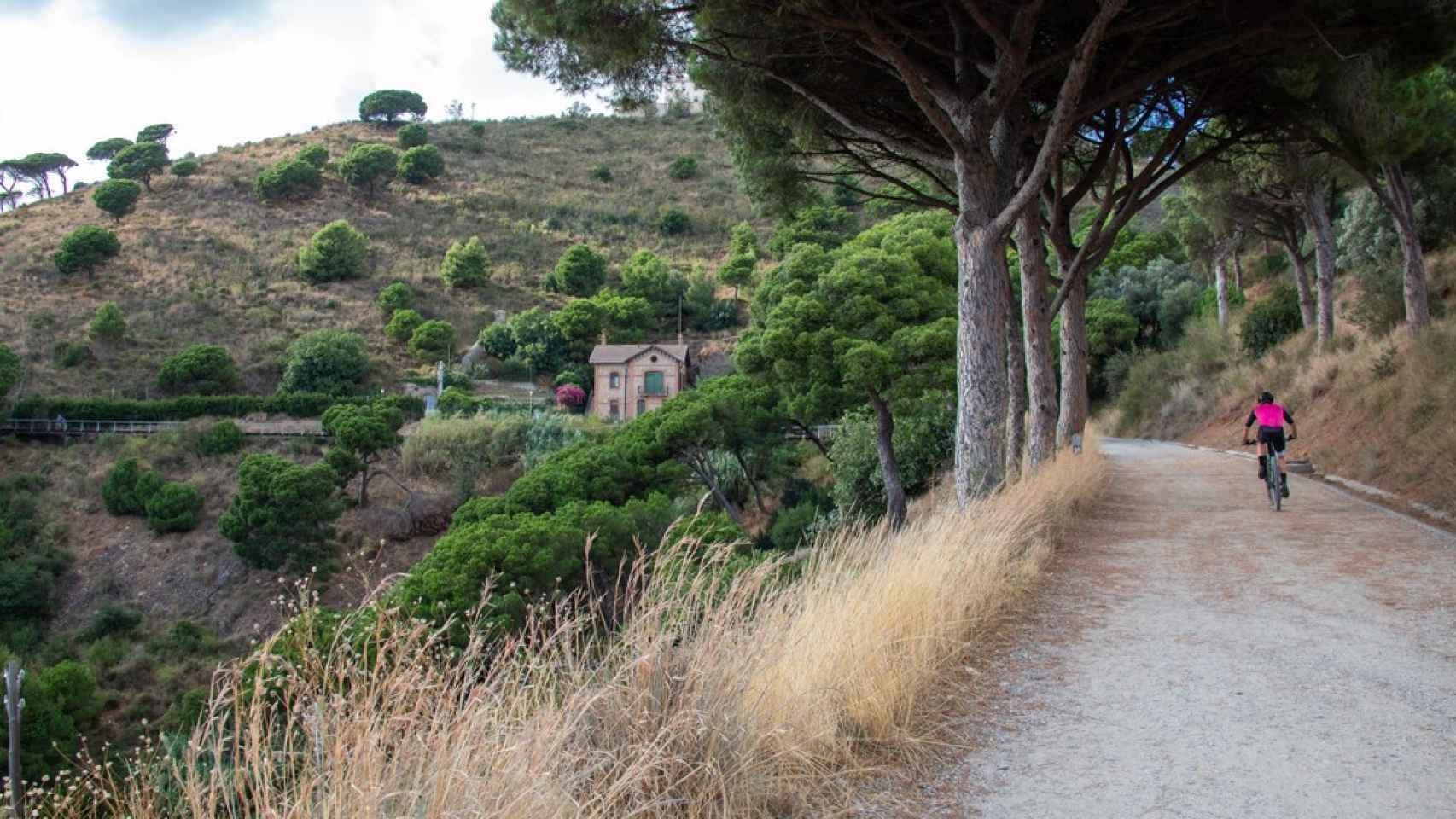 Parque de Collserola