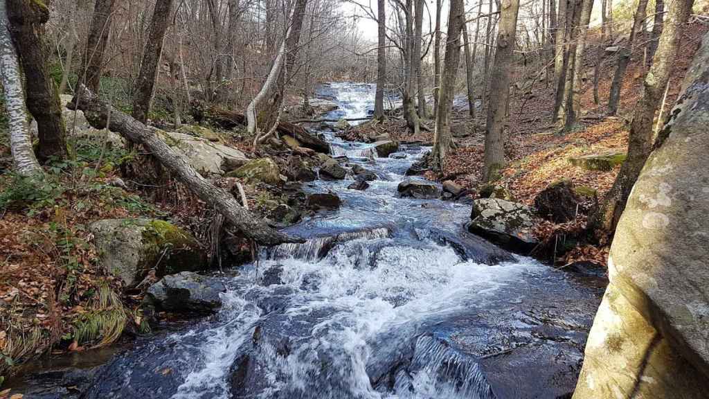 Parque Natural del Montseny