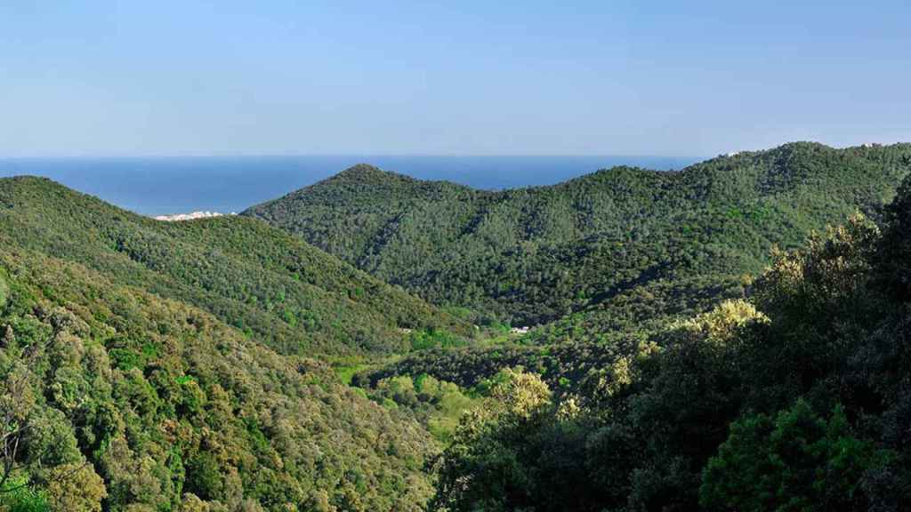 Parque del Montnegre y el Corredor