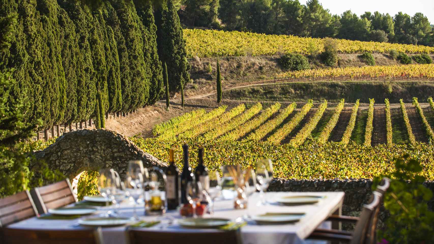 Almorzar entre los viñedos de la bodega Albet i Noya, en el Penedès