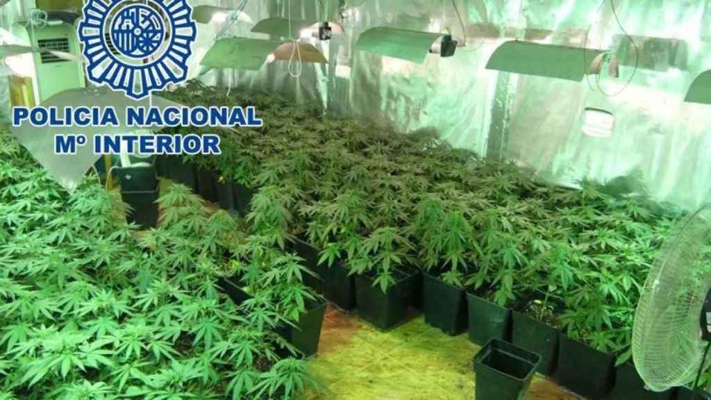 Golpe policial a la trata de personas y cultivo de marihuana en Tarragona