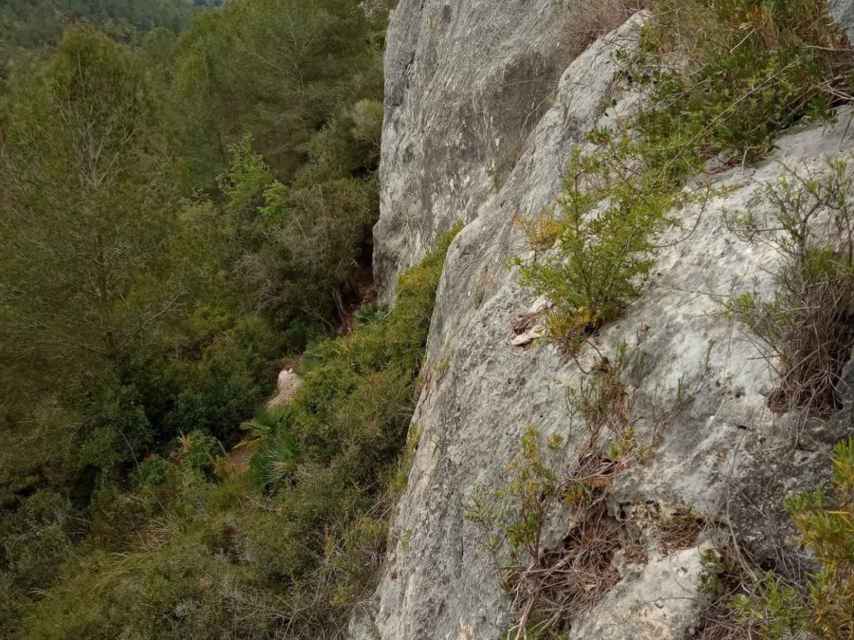 Castellet-Torrelletes