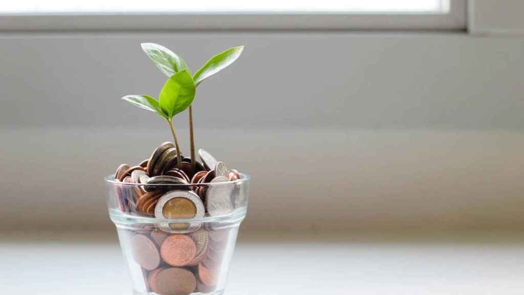 Planta en una maceta de cristal con monedas