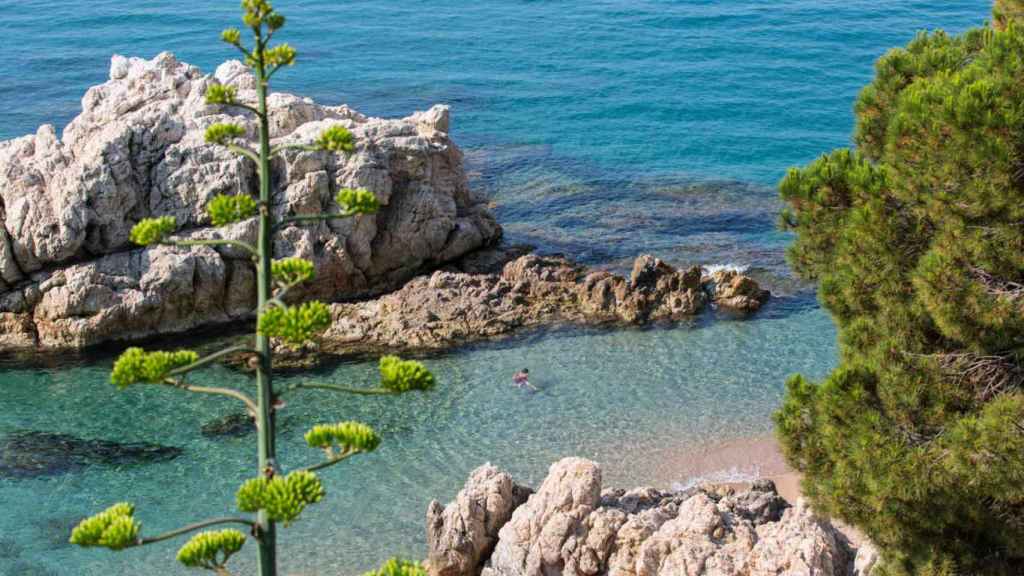 Platja de les Roques