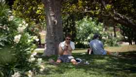 Una persona se cubre del sol bajo un árbol en el parque de la Ciutadella de Barcelona