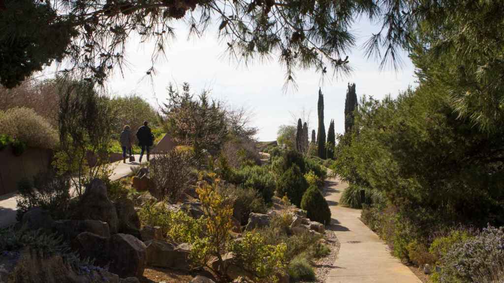 Jardín botánico de Barcelona