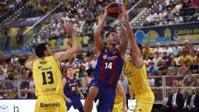 La jugada de Willy Hernangómez contra Gran Canaria