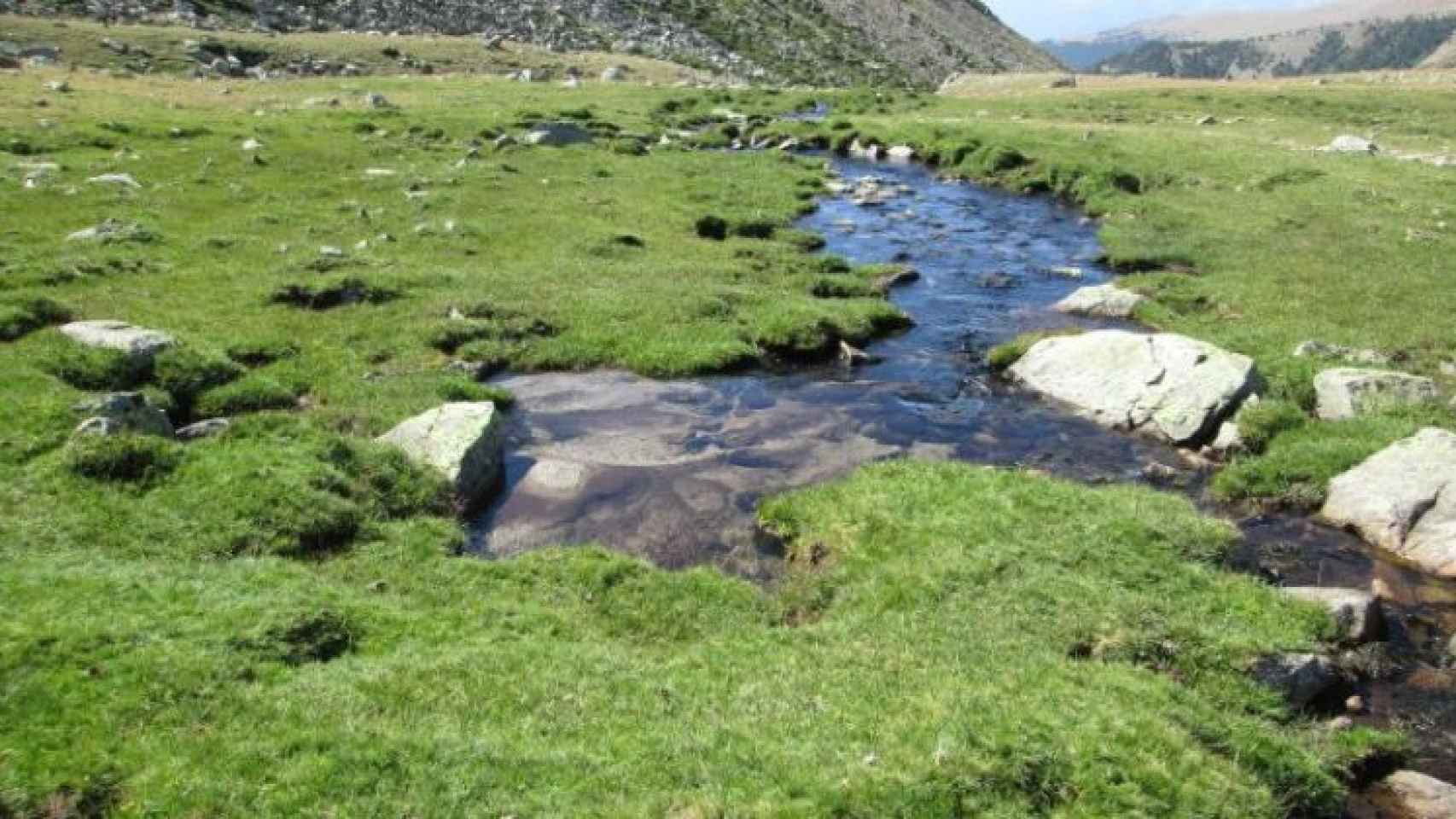 Reserva de la Tossa Plana de Lles-Puigpedrós