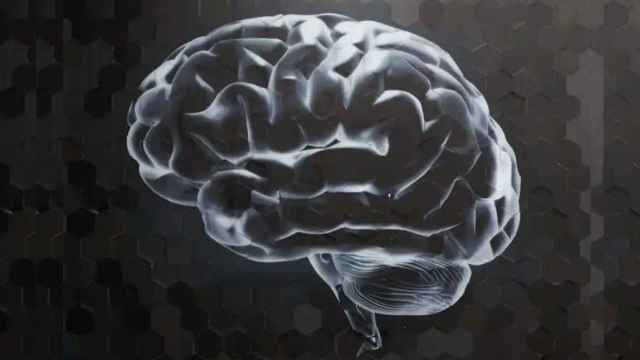 Los daños cerebrales provocados por un ictus dejan duras secuelas en quienes los sufren