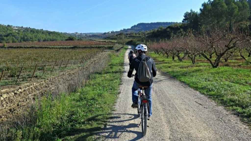 Ruta en bici entre viñedos