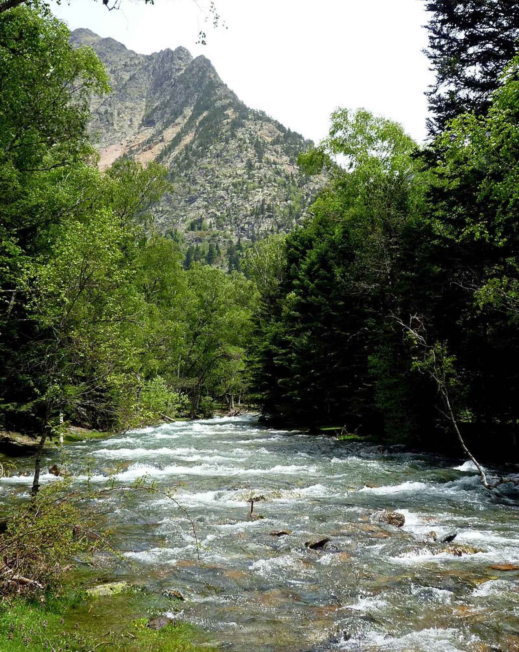 Río Noguera de Cardós