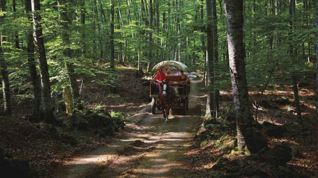 Parque de la Zona Volcánica de la Garrotxa