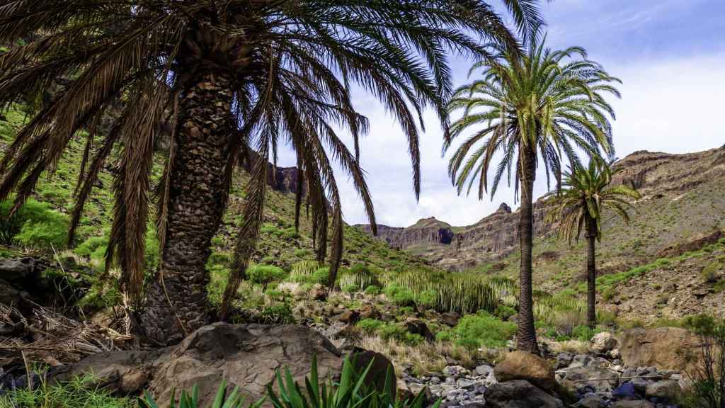 Barranco de Las Palmas, en San Bartolomé de Tirajana